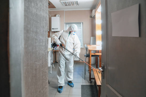 Best Industrial Mold Remediation  in King City, CA